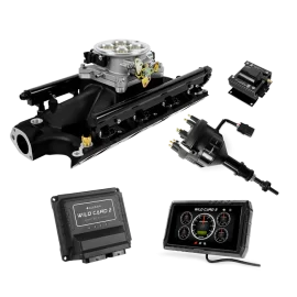 Wild Card 2 EFI - SBF 302 Top End Kit