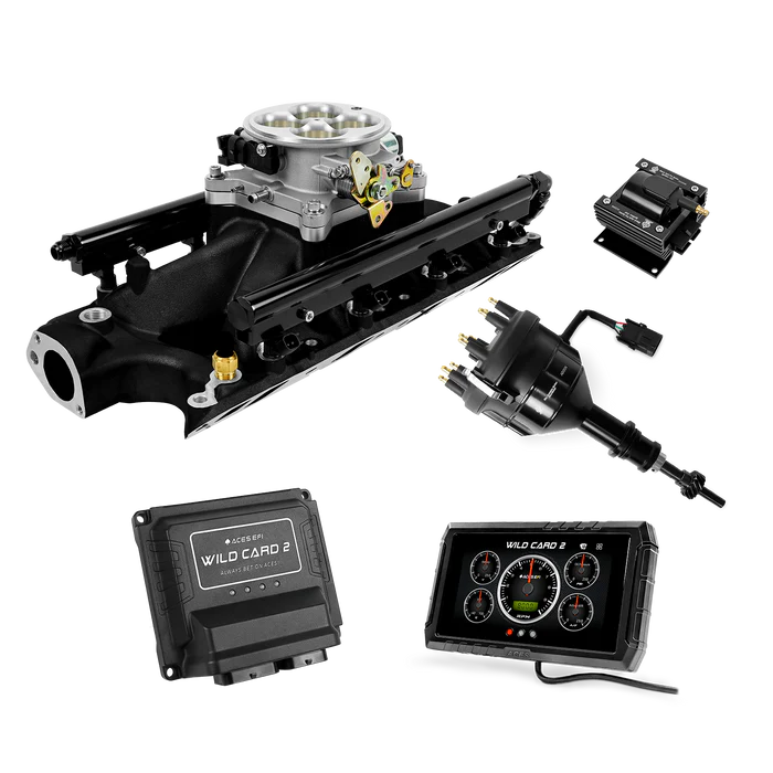 Wild Card 2 EFI - SBF 302 Top End Kit